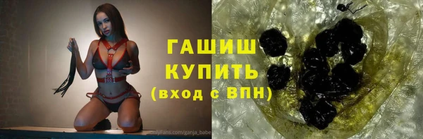 индика Бронницы