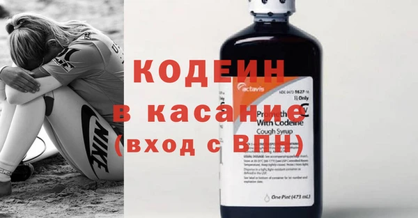 хмурый Бородино