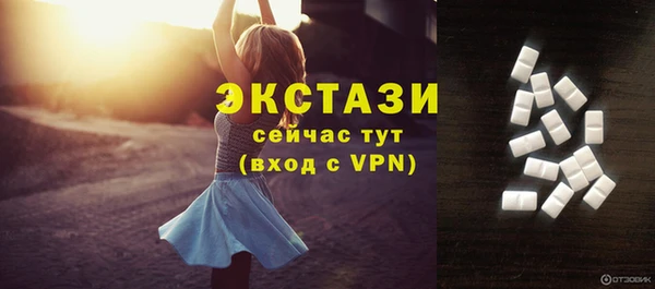 индика Бронницы