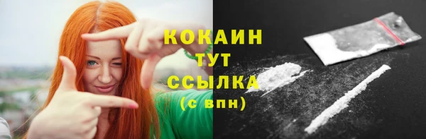 хмурый Бородино