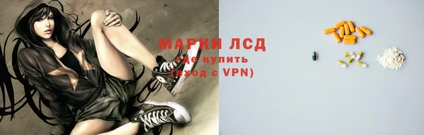 индика Бронницы