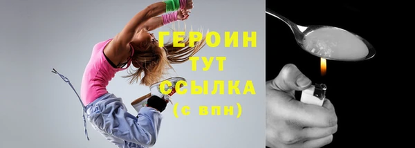 индика Бронницы