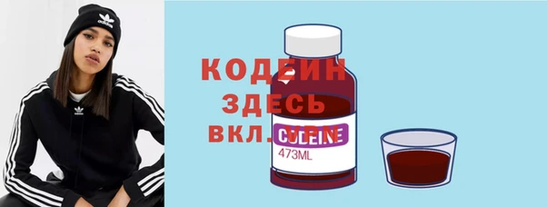 индика Бронницы