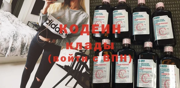 индика Бронницы