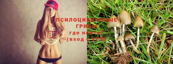 индика Бронницы