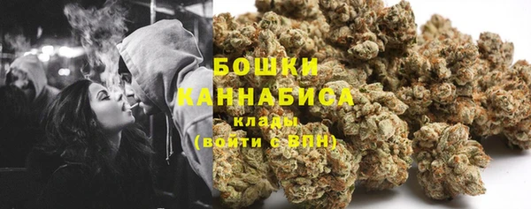 хмурый Бородино