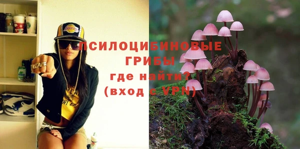 хмурый Бородино