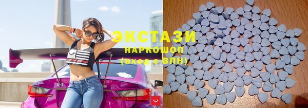 хмурый Бородино