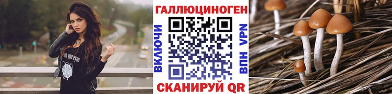 Галлюциногенные грибы Psilocybine cubensis  мориарти формула  Далматово 